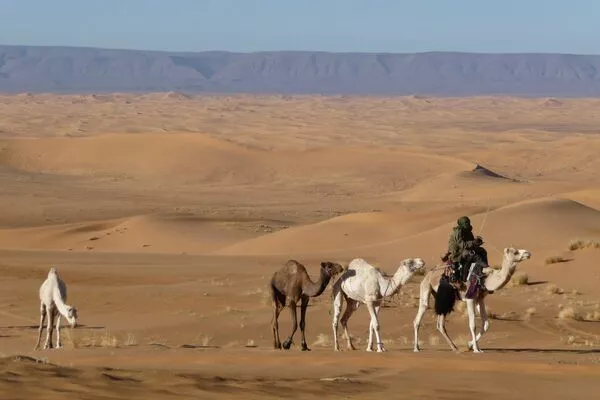 Nos voyages à la carte