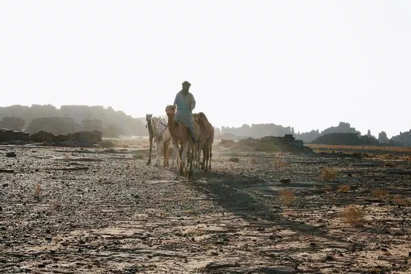 Chameaux, 4x4 : Nos moyens de transports